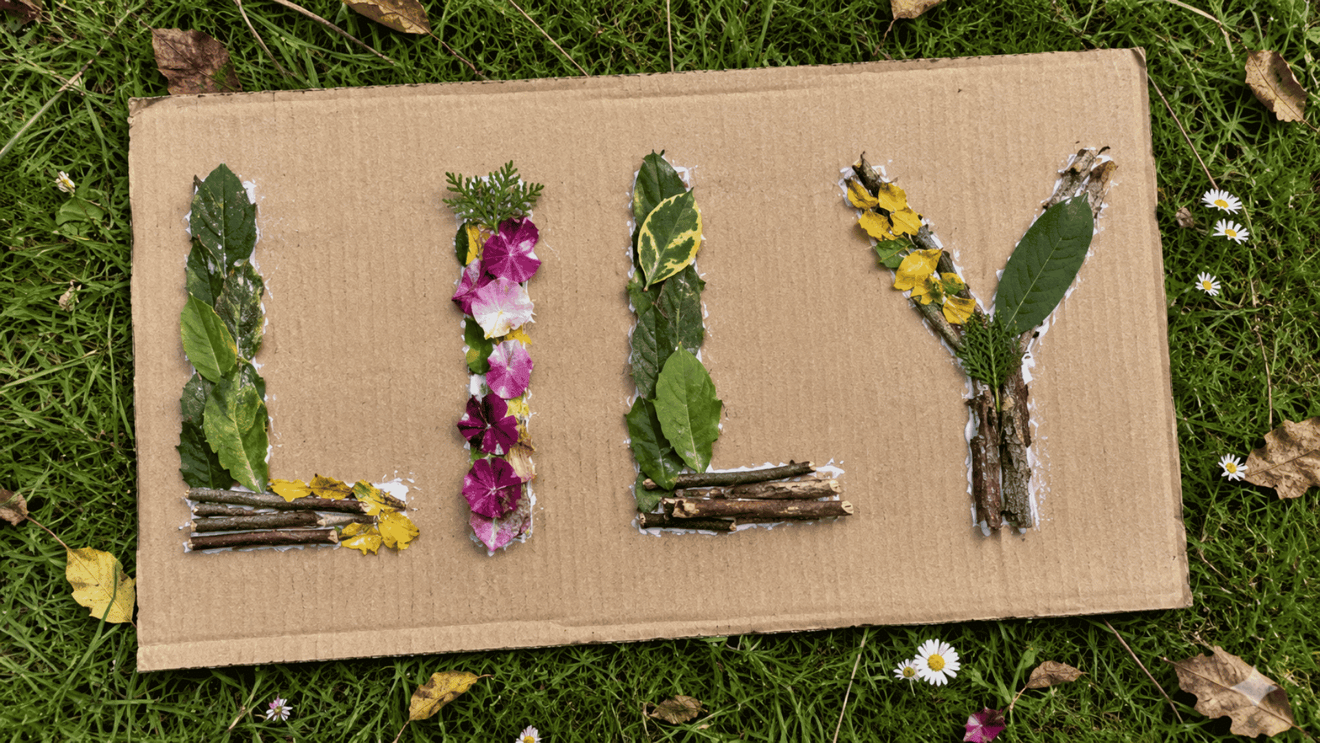 nature name collage with leaves petals and twigs on cardboard on green grass