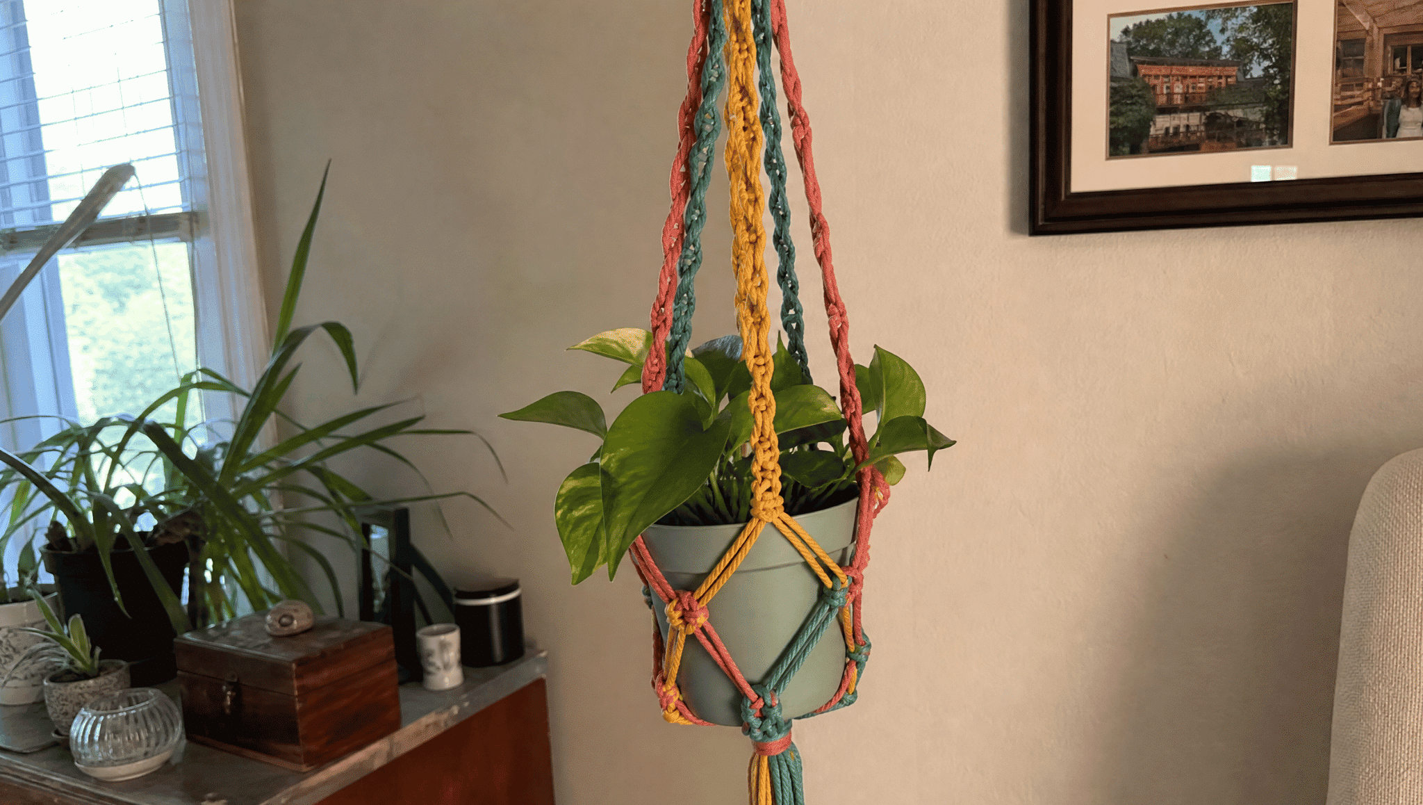 colorful cord macrame plant hanger with green potted plant adding a boho touch indoors