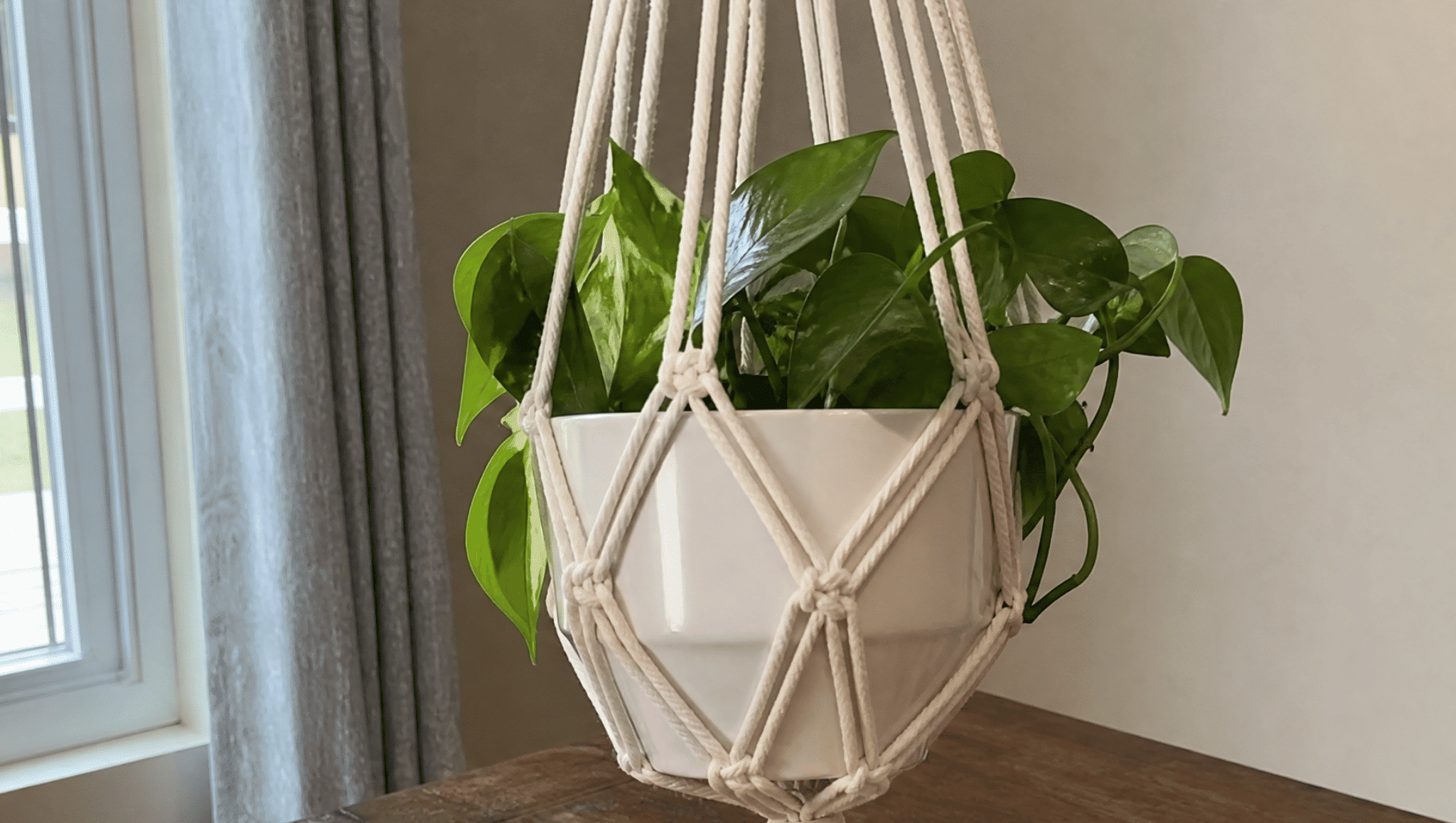 knots on a macrame plant hanger holding a white pot with green plant indoors