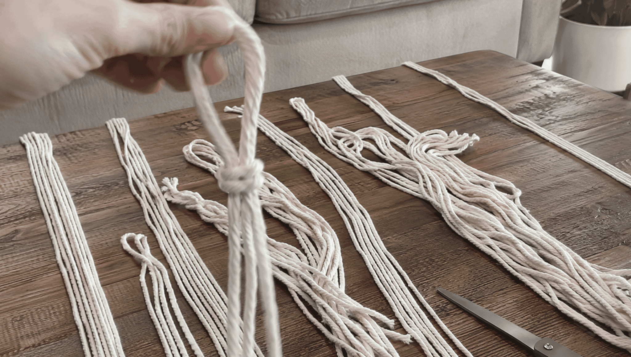 macrame cords arranged with looped knots and cut pieces ready for a diy plant hanger project