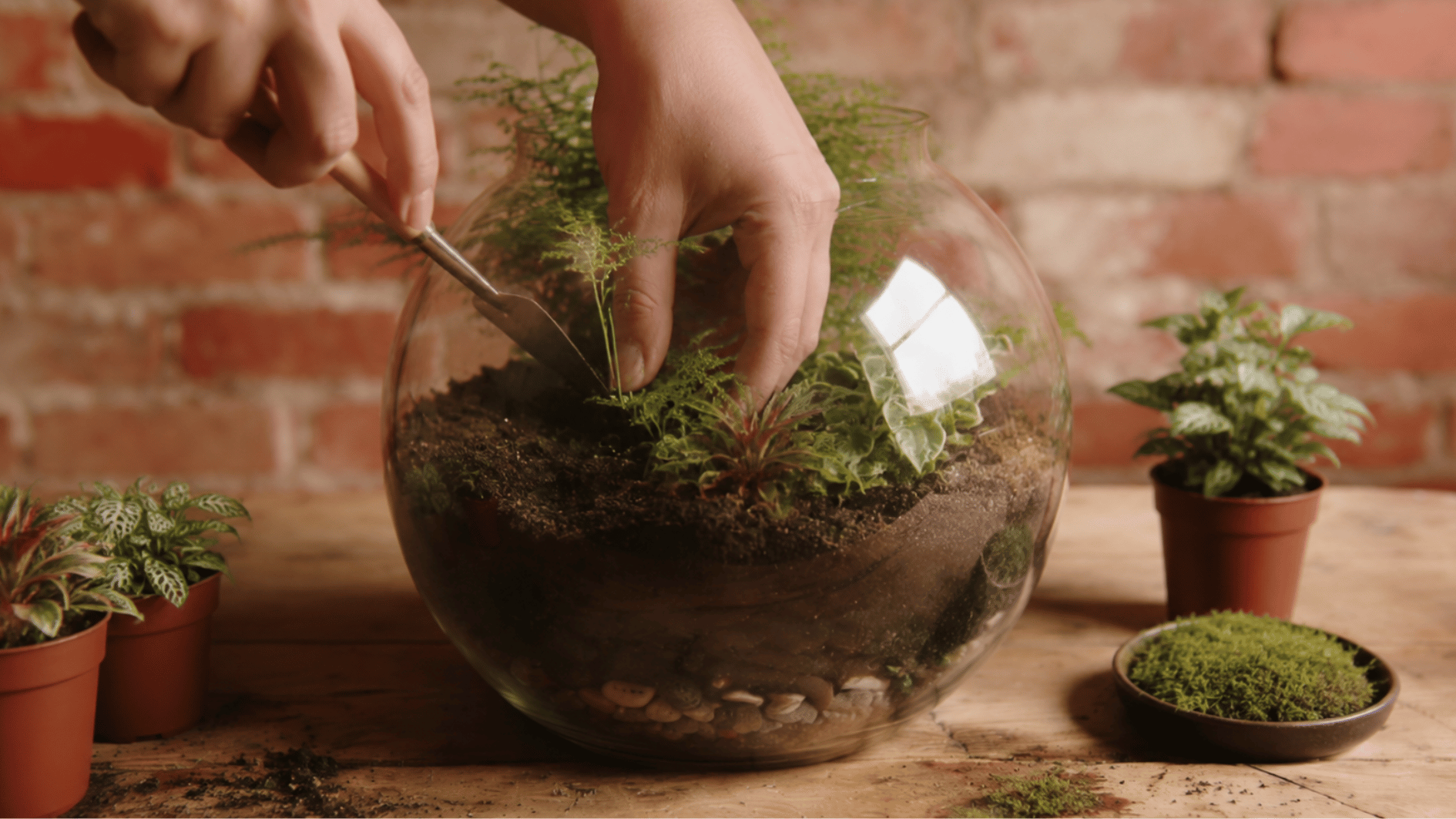 placing small plants into layered soil inside a glass terrarium during planting