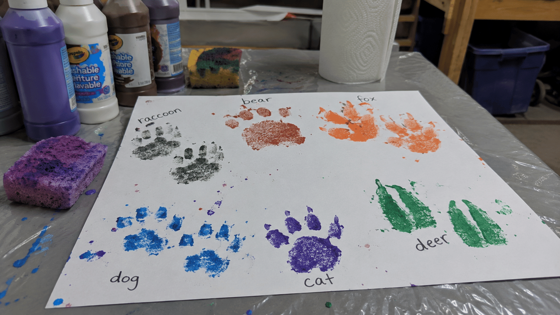 sponge-stamped animal track paintings labeled by name on a garage workbench