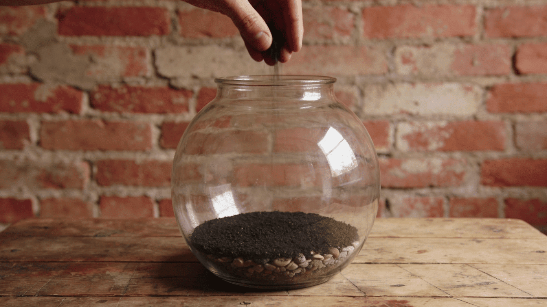 adding activated charcoal above pebbles to create a healthy terrarium foundation