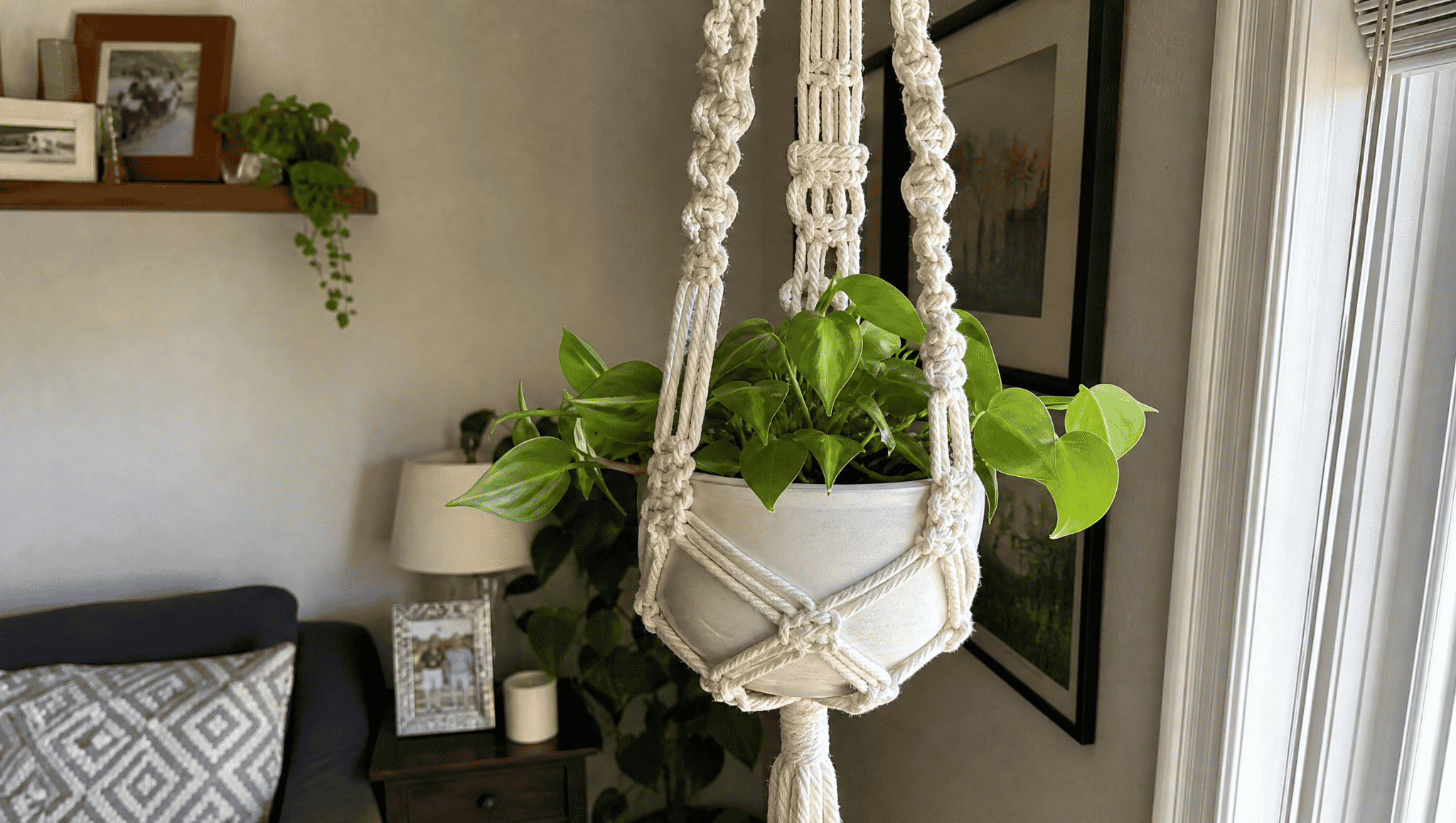 white macrame plant hanger with leafy green plant displayed near a bright window in a home setting
