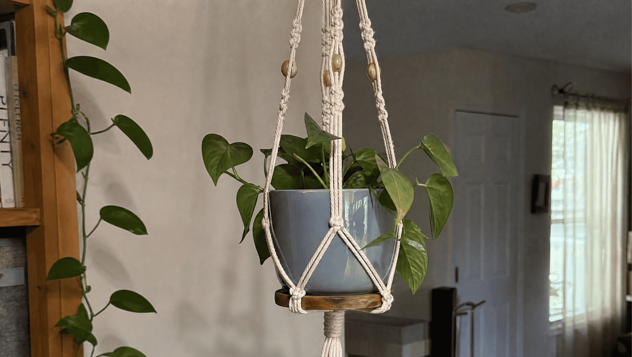 wooden base macrame plant hanger holding a green potted plant in a cozy american home interior